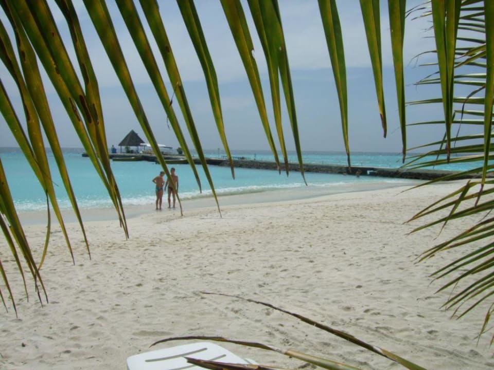 Unser schöner Strand! Summer Island Maldives