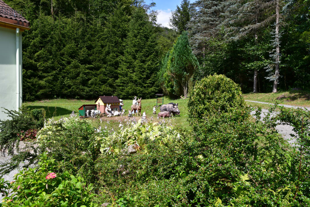 Gartenanlage Pension Mittelndorfer Mühle