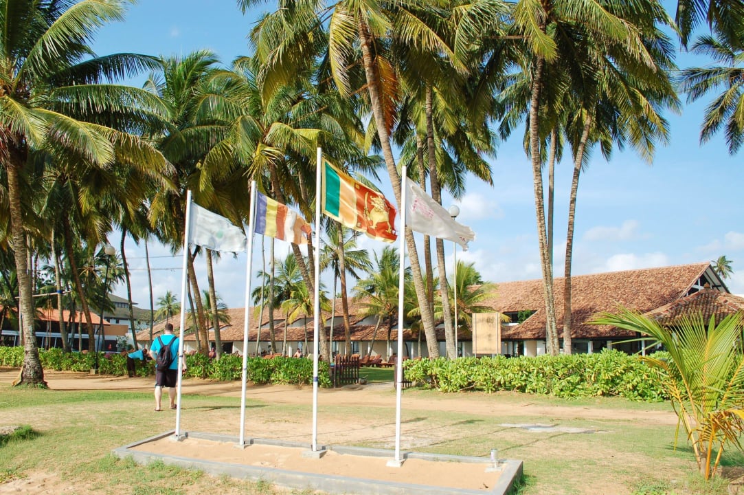 Strand Thaala Bentota