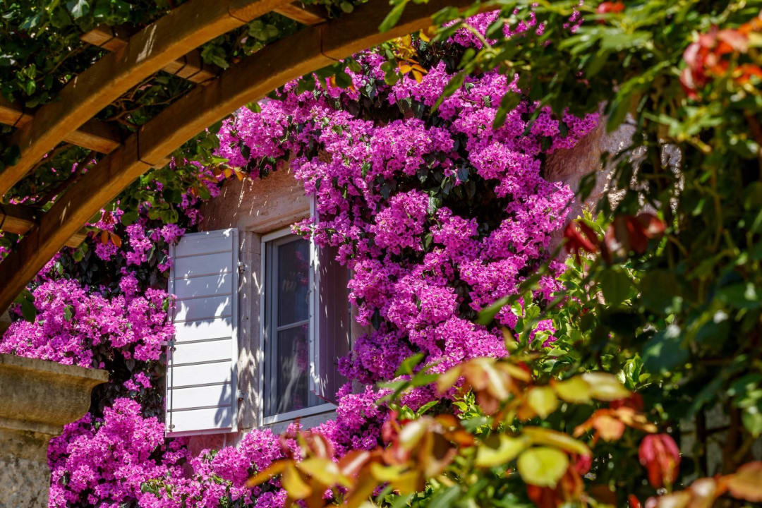 Garten Hotel Lemongarden