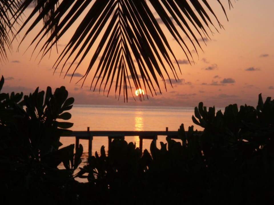 Am Morgen der Heimreise Mirihi Island Resort