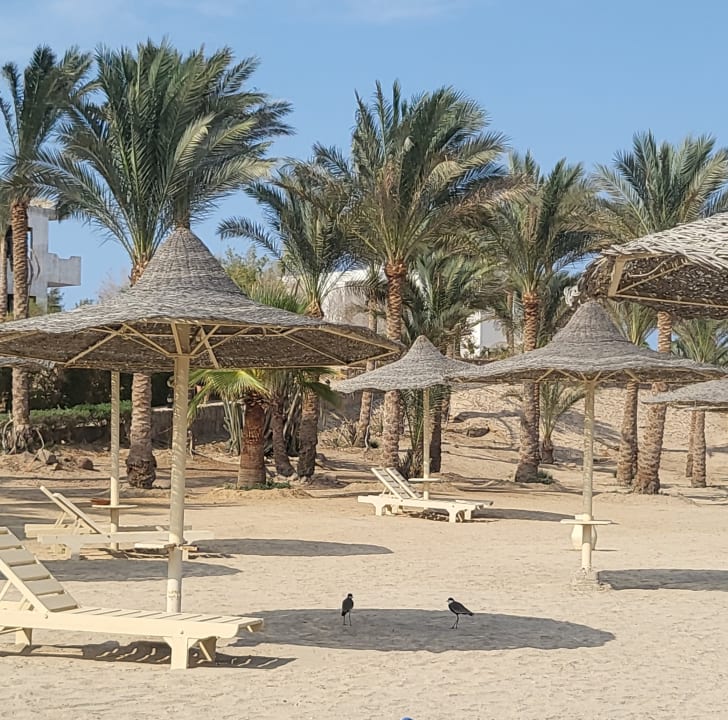 Strand Brayka Bay Resort