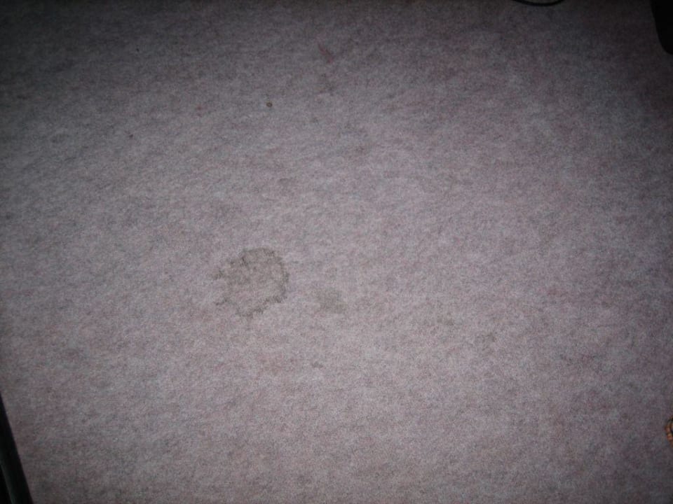 Teppichboden mit erheblichen Spuren AHORN Berghotel Friedrichroda