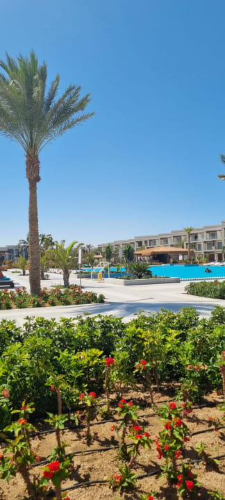 Pool Steigenberger Resort Ras Soma