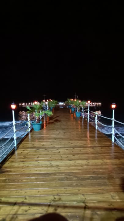 Pool Hotel Botanik Platinum