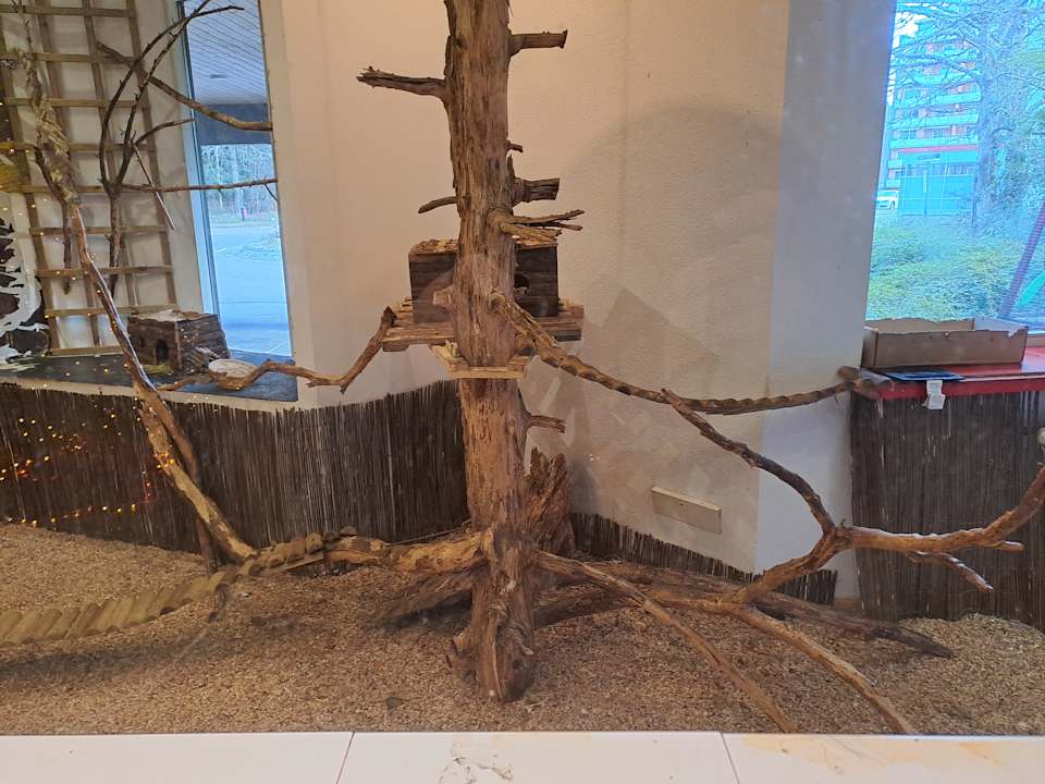 Lobby DORMERO Hotel Freudenstadt