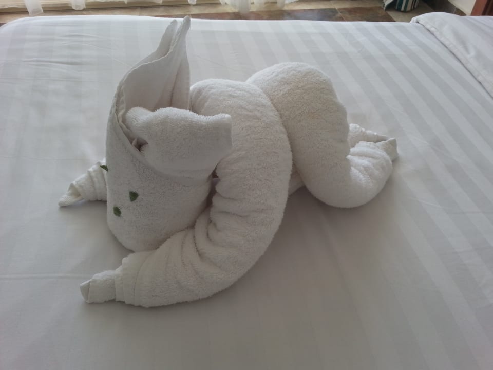 Zimmer Three Corners Equinox Beach Resort