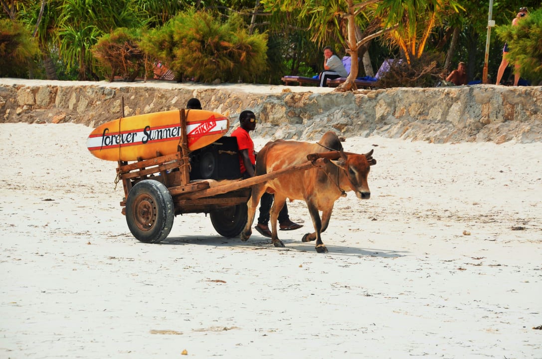Neptune Pwani Beach Resort & Spa Neptune Pwani Beach Resort & Spa