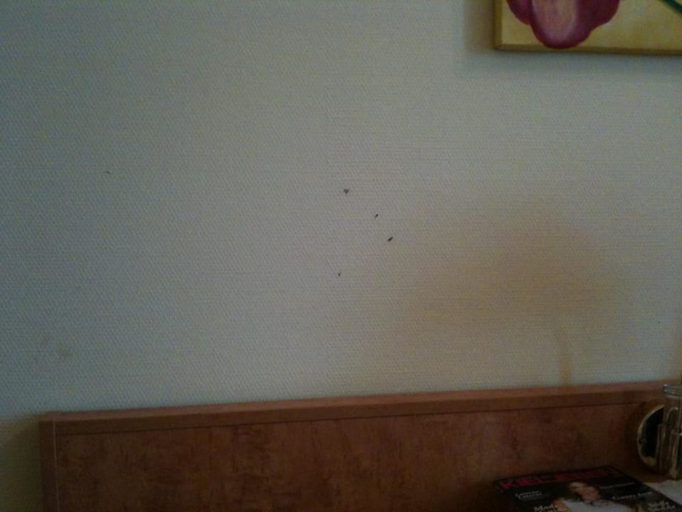 Alles wie neu Hotel Astor Kiel by Campanile