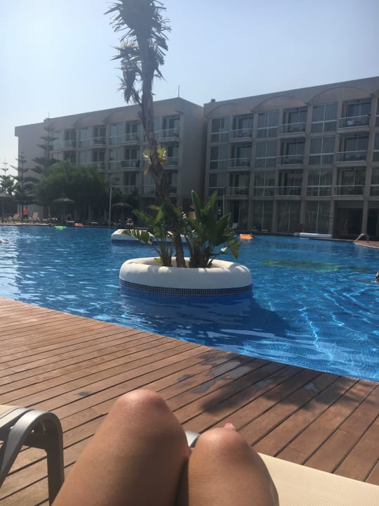 Pool Hotel Zafiro Alzinar Mar