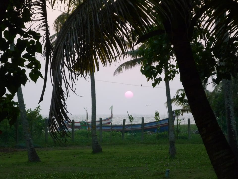 Gartenanlage Hotel Abad Turtle Beach