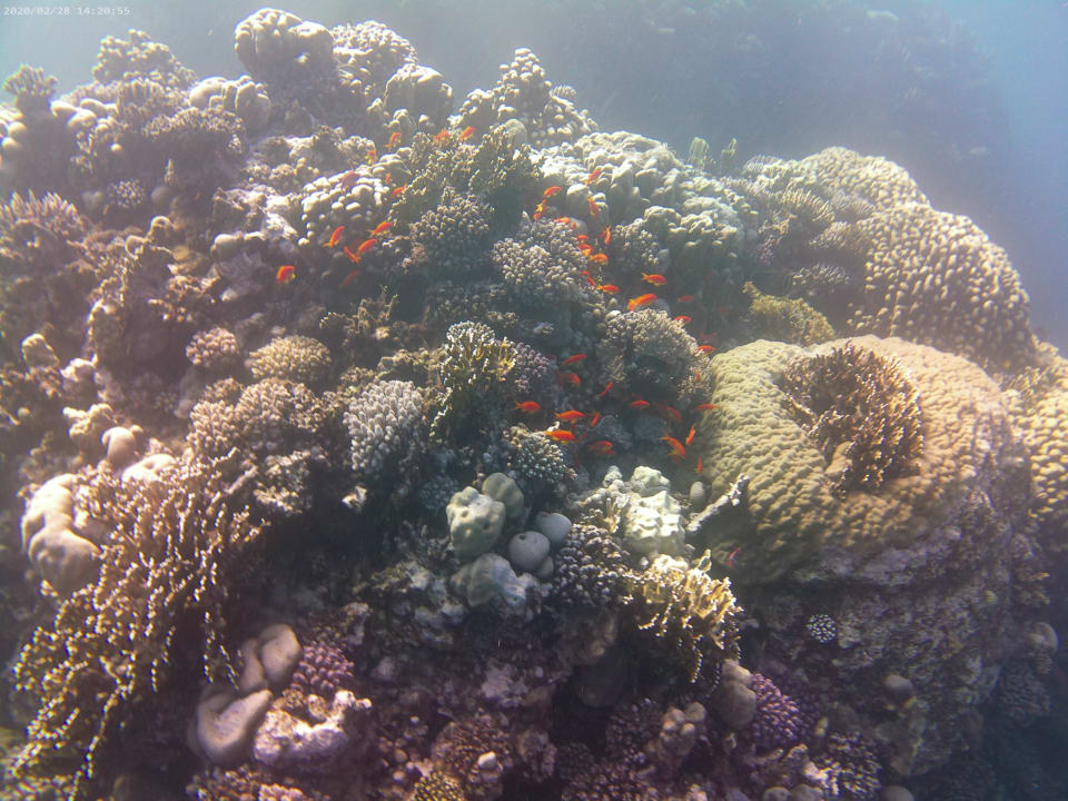 Strand Three Corners Sea Beach Resort