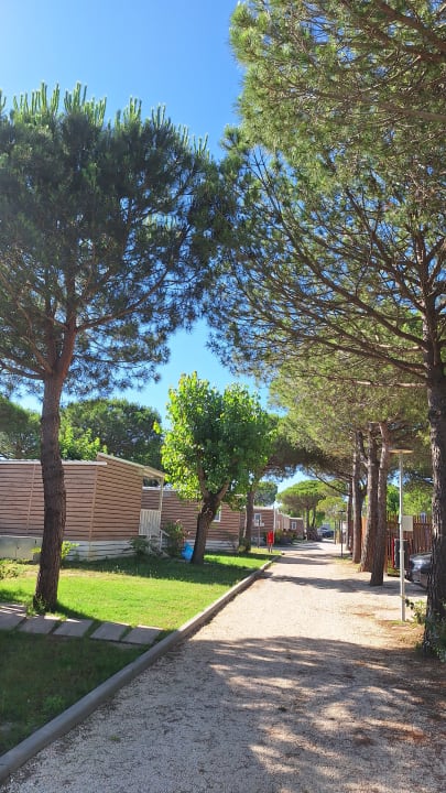 Gartenanlage Sentido Punta Marina Premium Camp