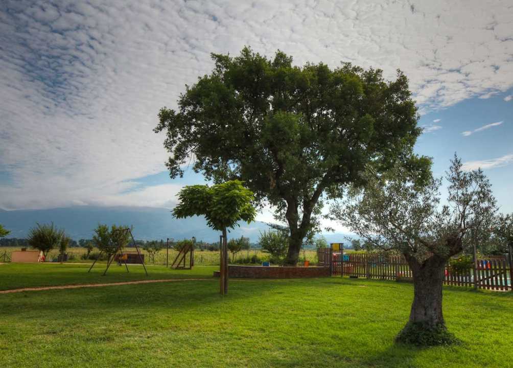 La grande quercia secolare Agriturismo Il Giardino degli Elfi
