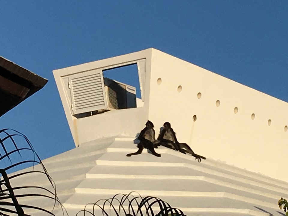 Außenansicht Sandos Playacar Beach Resort