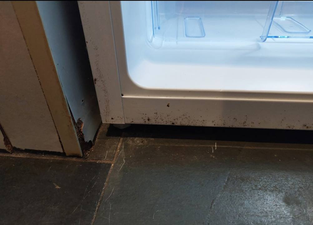 Zimmer Appartement Altstadt
