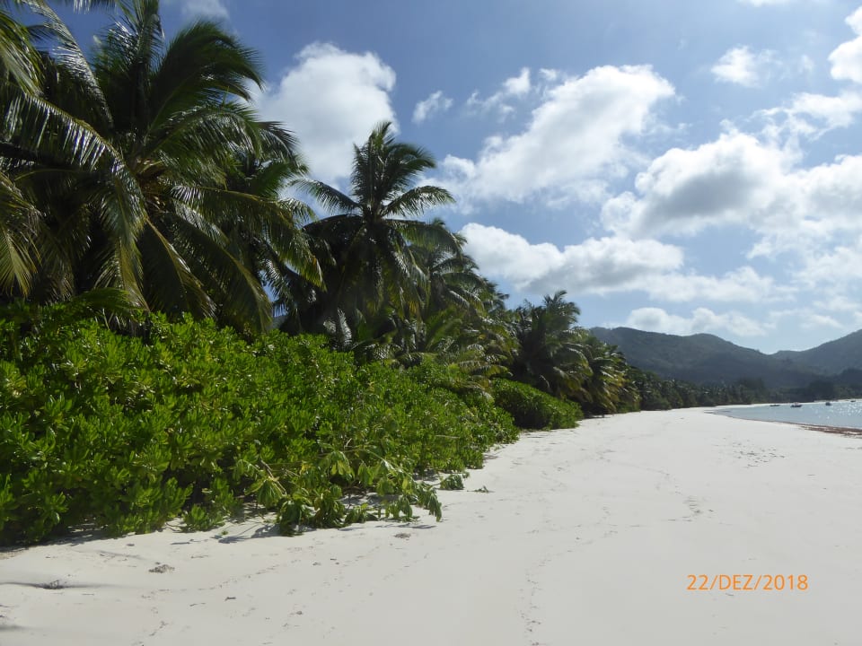 Strand The Oasis Hotel Restaurant & Spa