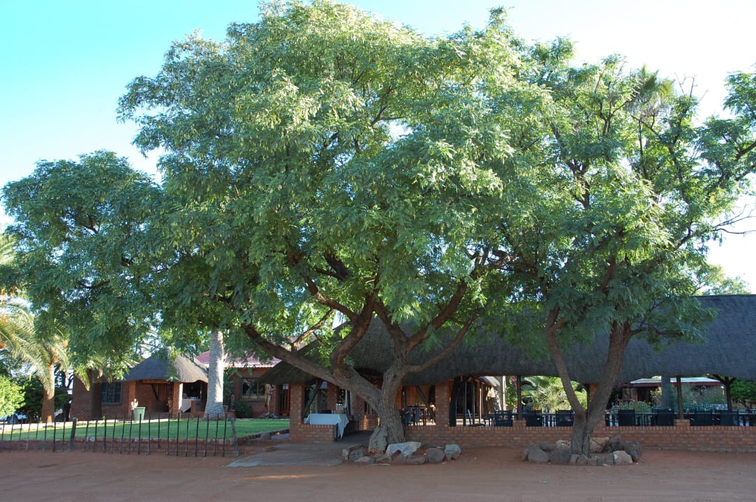 Gartenanlage Kalahari Anib Lodge