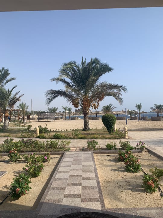 Ausblick Coral Sun Beach