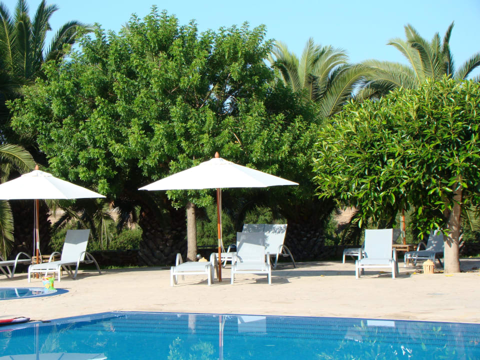 Herrlicher Platz am Pool Son Trobat Hotel Rural