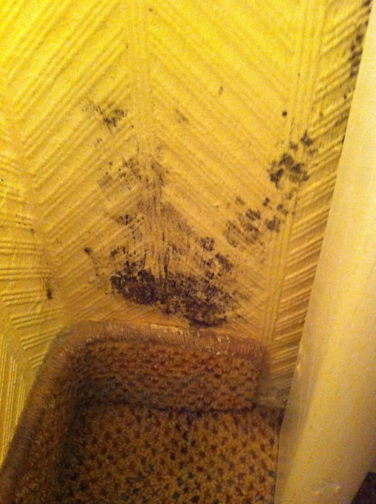 Schlafzimmer Ferienwohnungen Ferienpark Weissenhäuser Strand