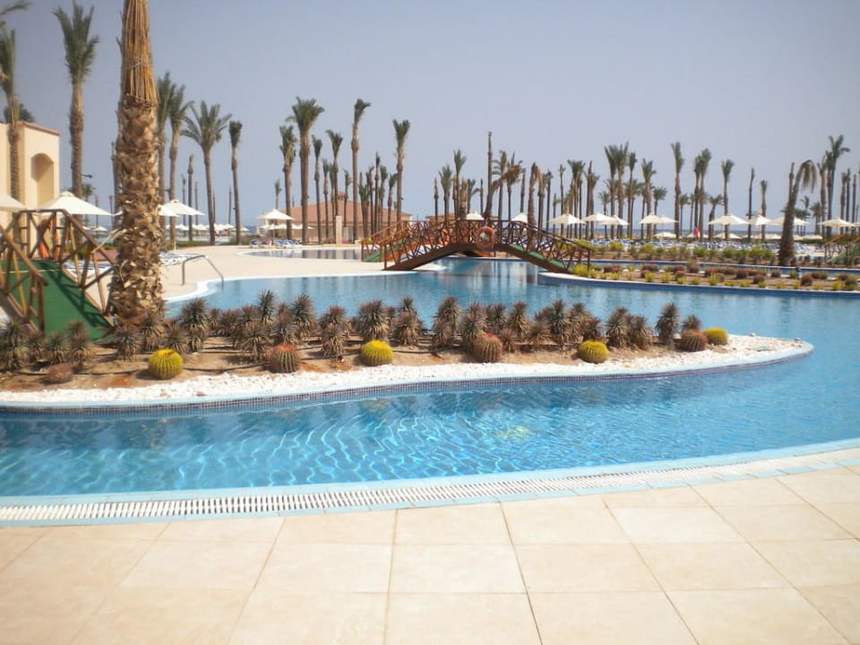 Palmenreihe hinter Poolanlae Cleopatra Luxury Resort Makadi Bay