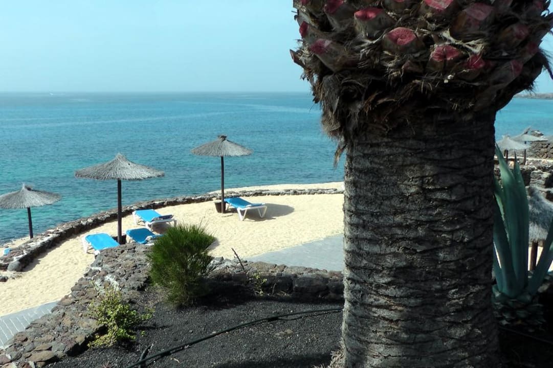 Blick vom Pool auf's Meer SBH Hotel Royal Monica