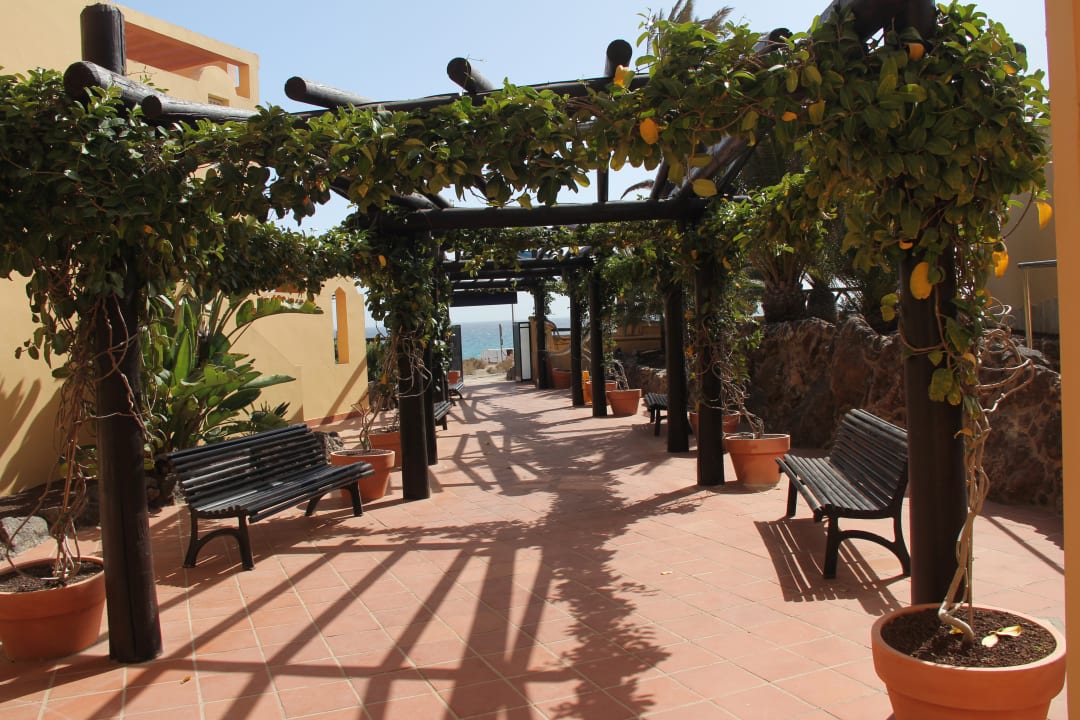 Gartenanlage H10 Playa Esmeralda - Adults only