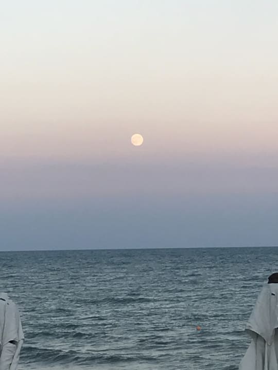 Ausblick Hotel Sineva Beach