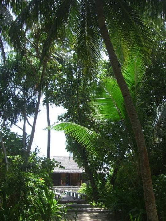 Blick auf einen der alten Wasserbungis Kuramathi Maldives