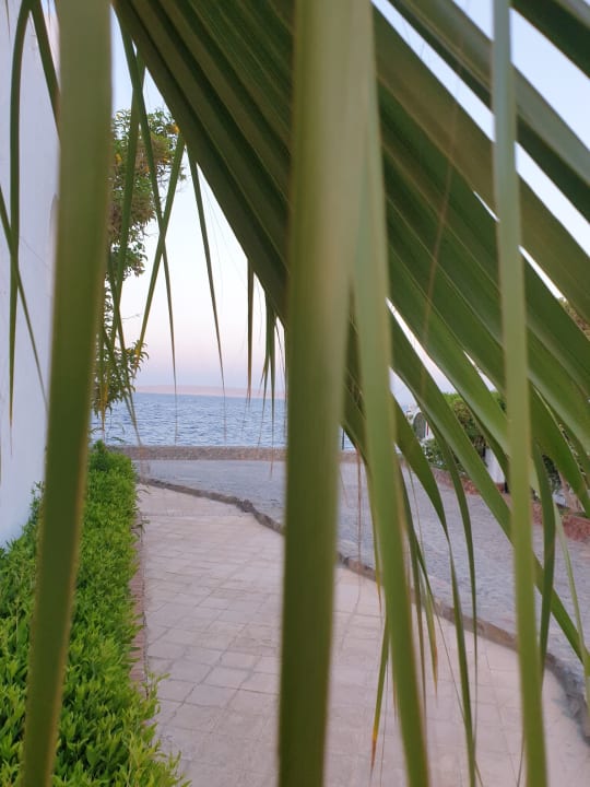 Gartenanlage Arabella Azur Resort