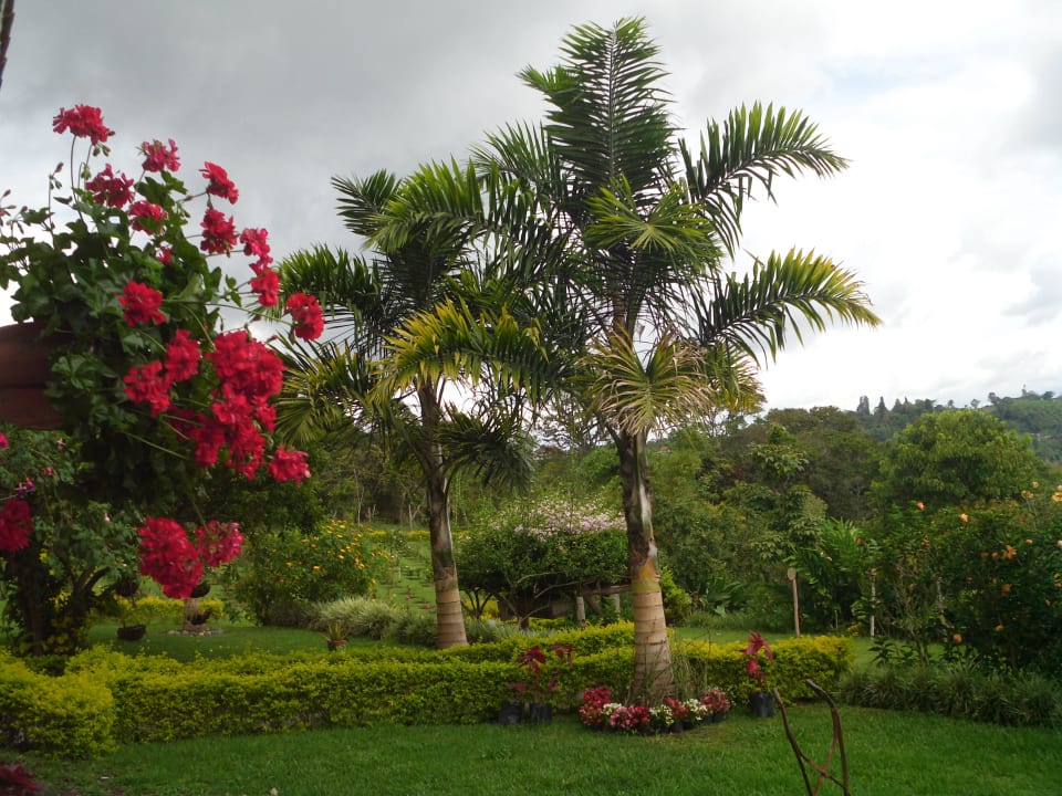 Gartenanlage Akawanka Lodge