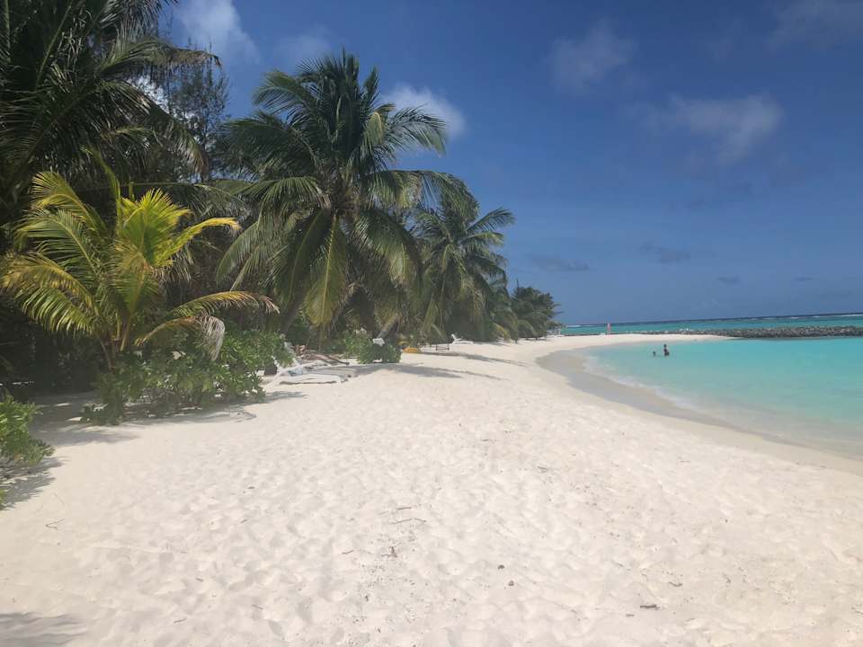 Strand Summer Island Maldives