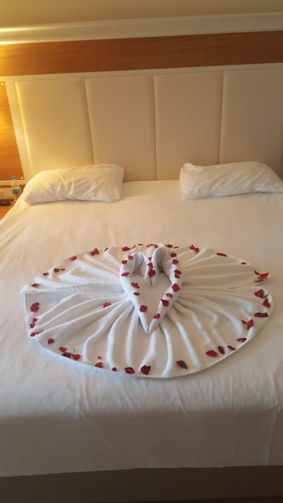 Zimmer AQI Pegasos Royal