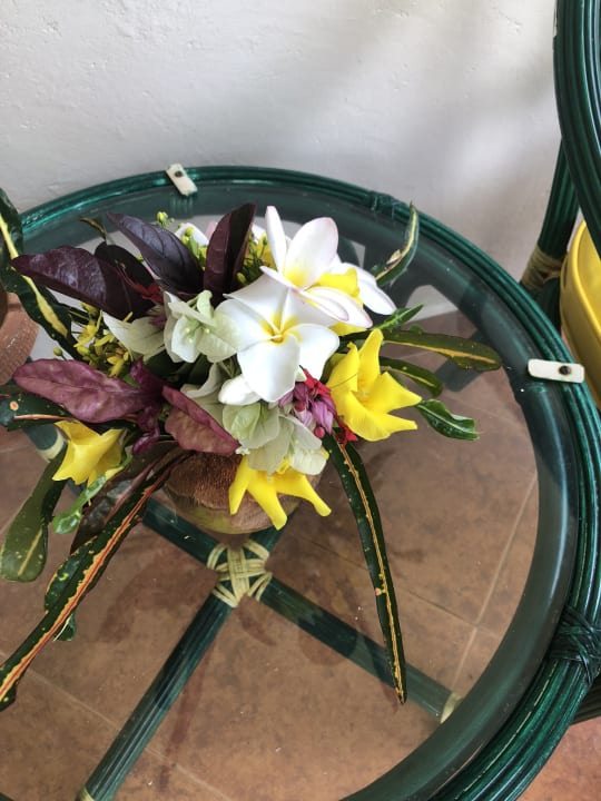 Zimmer Neptune Paradise Beach Resort & Spa