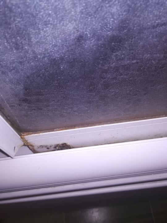 Zimmer Hotel Orfeus Park