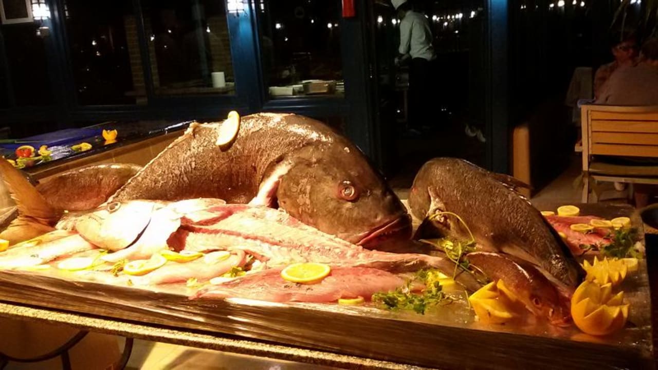 Gastro Club Paradisio El Gouna, Red Sea