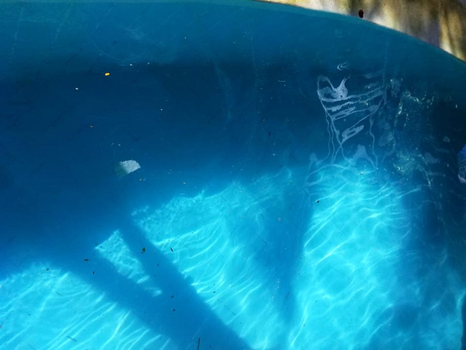 Pool Diani Sea Resort