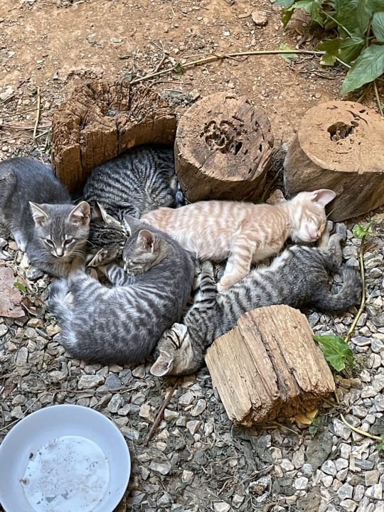 Sonstiges Labranda Alantur Resort