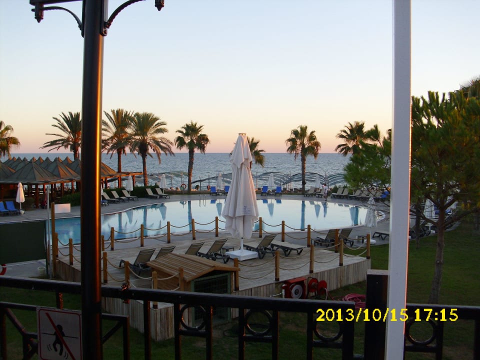 Schön Papillon Belvil