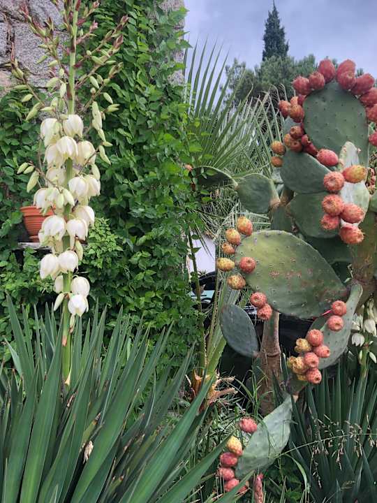 Außenansicht Hotel Geranion Village