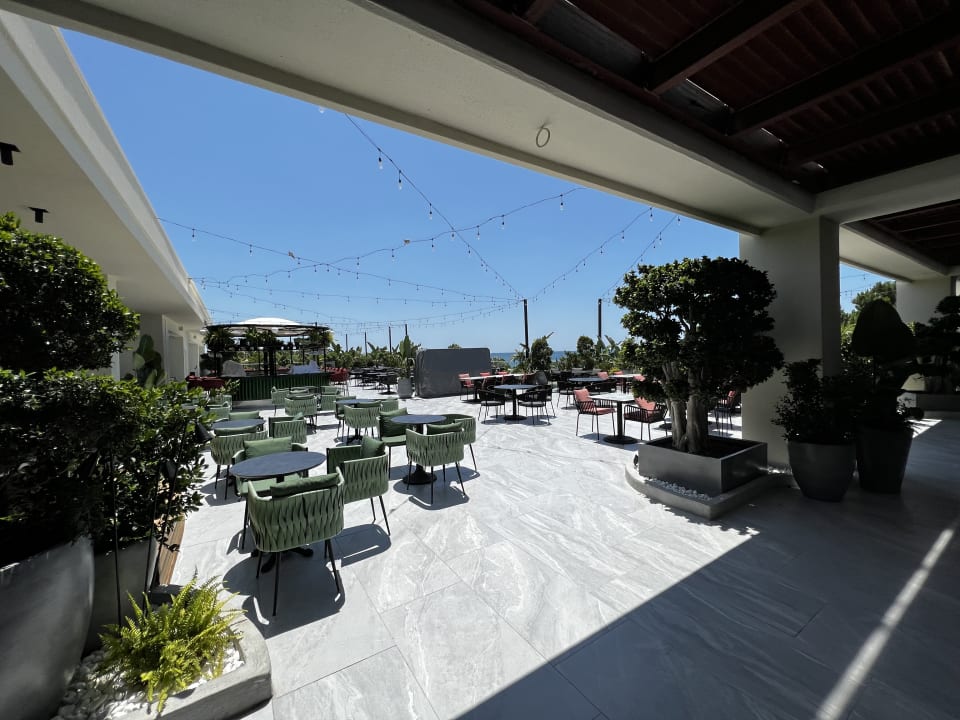 Gastro Paloma Oceana
