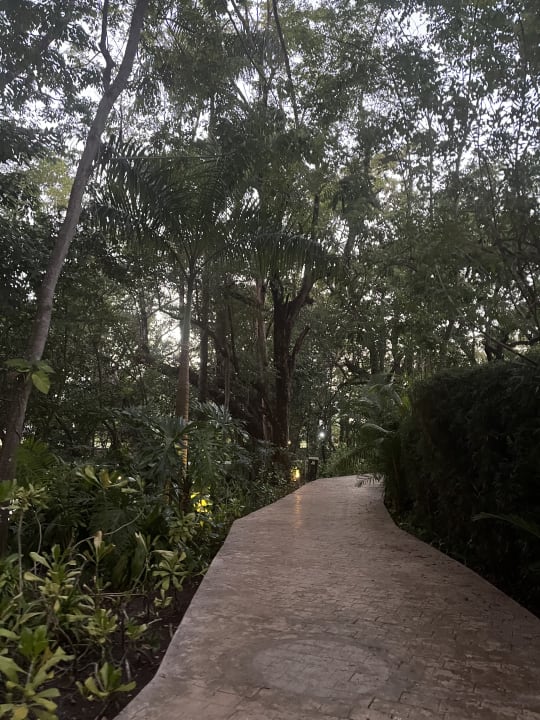 Gartenanlage Viva Heavens by Wyndham - All Inclusive Resort