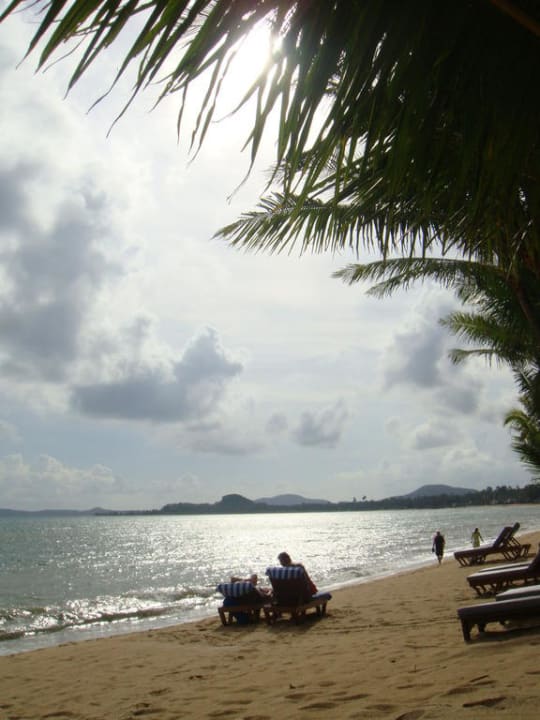 Der Strand 15 Meter vor unserer Villa Santiburi Koh Samui