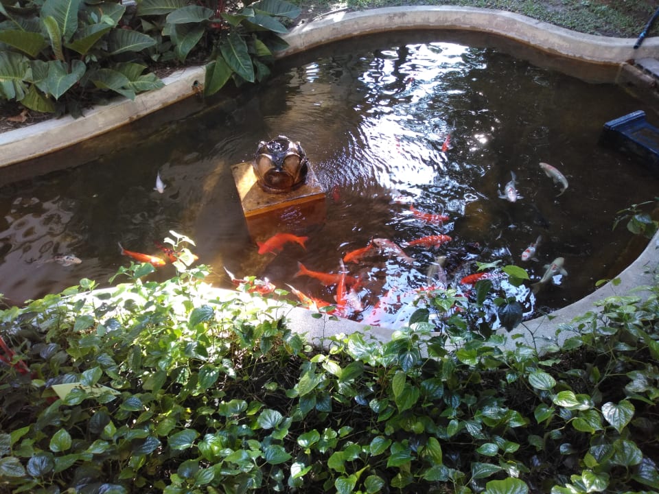 Gartenanlage Wora Bura Hua Hin Resort & Spa