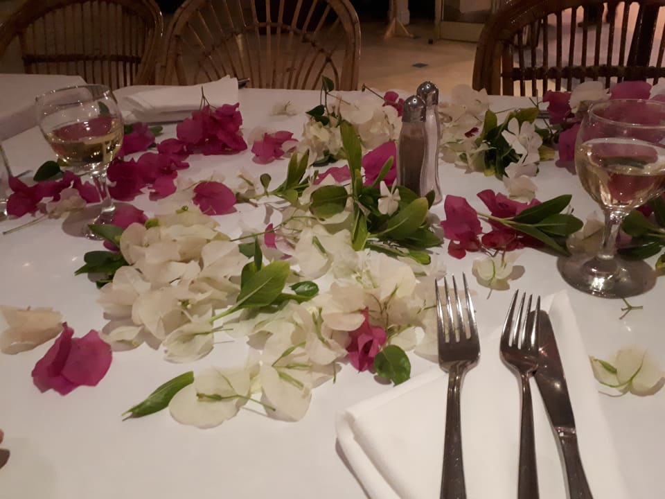 Gastro Brayka Bay Resort