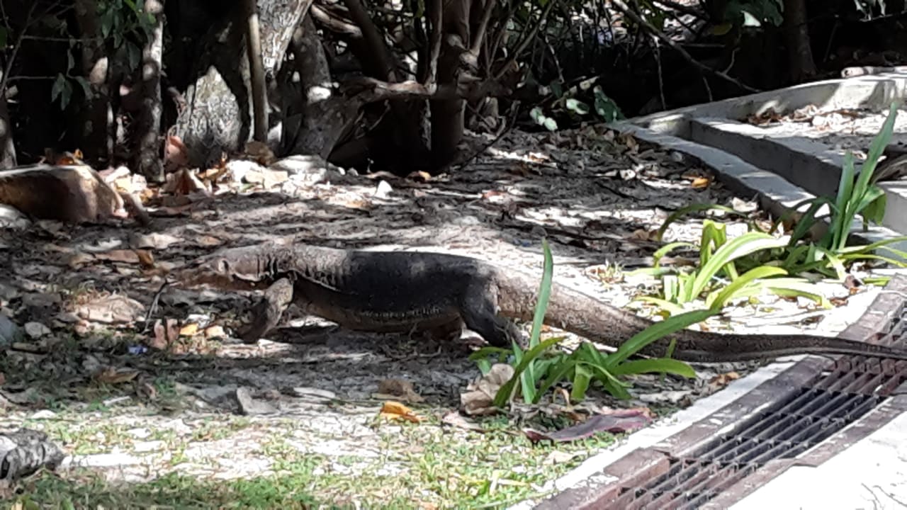 Strandbesucher Berjaya Langkawi Resort