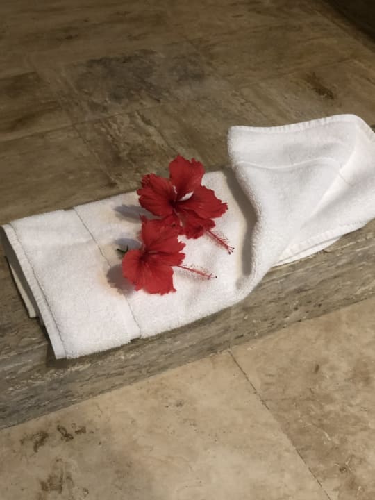 Zimmer Vik Hotel Arena Blanca & Cayena Beach