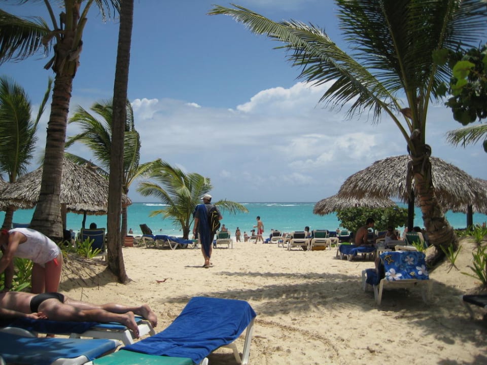 Aussicht von der Liege Grand Palladium Select Bávaro Resort & Spa