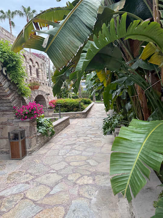 Gartenanlage Arum Barut Collection